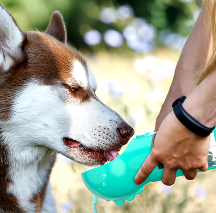 Botella De Agua Portátil 4 En 1 Para Mascotas