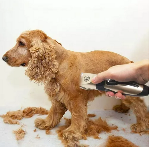 KIT CORTADORA DE PELO PARA MASCOTAS