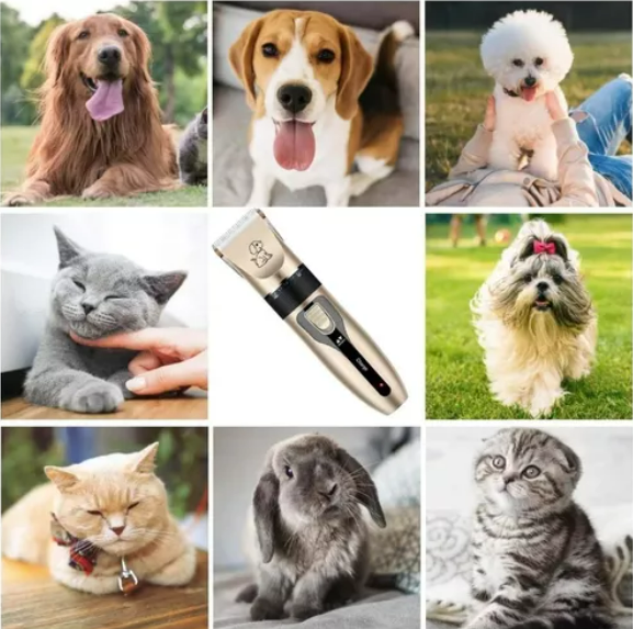 KIT CORTADORA DE PELO PARA MASCOTAS